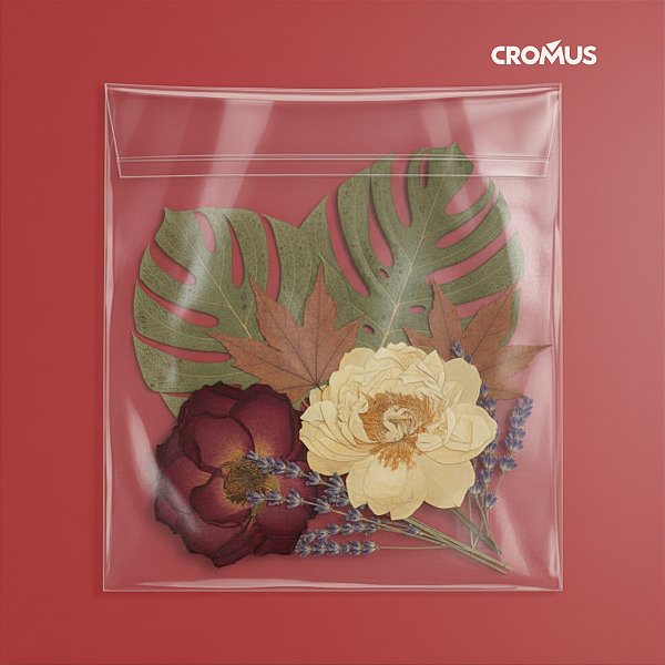 Saco adesivado sem Furo - 15x20cm - 500 unidades - Cromus - Rizzo