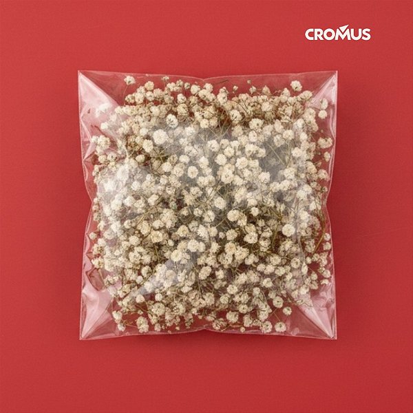 Saco Adesivado sem Furo - 12x12cm - 100 unidades - Cromus Embalagens