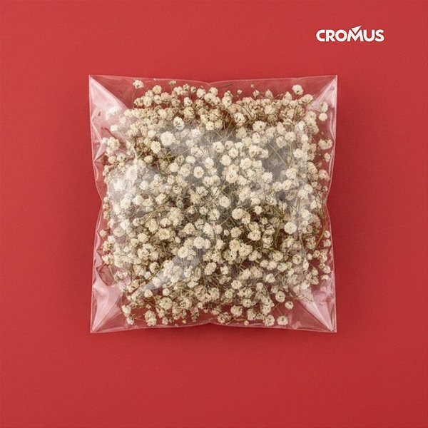Saco Adesivado sem Furo - 10x10cm - 100 unidades - Cromus Embalagens