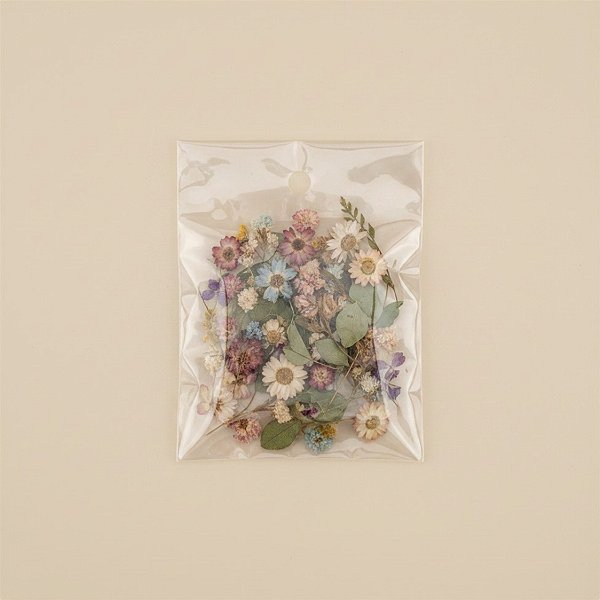 Saco Adesivado com furo - 6 x 7cm x 2 - Rizzo
