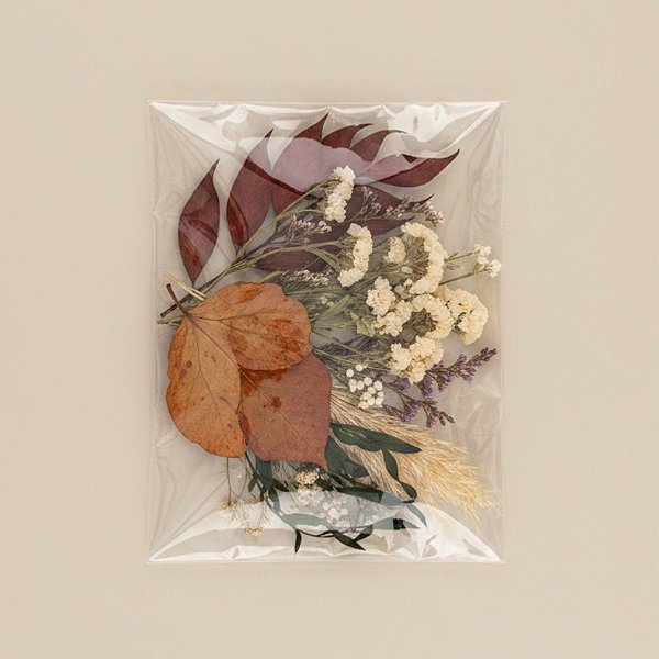 Saco Adesivado sem furo - 10 X 17 cm - Rizzo