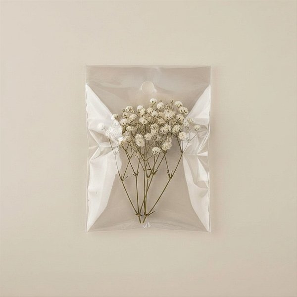 Saco Adesivado com furo - 4 x 6 cm - Rizzo