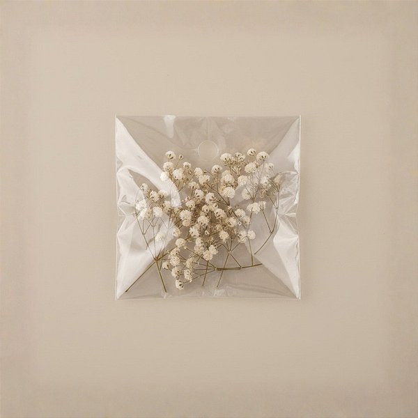 Saco Adesivado com furo - 4 x 4 cm - Rizzo