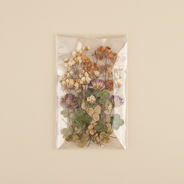 Saco Adesivado sem furo - 4 X 10 cm - Rizzo