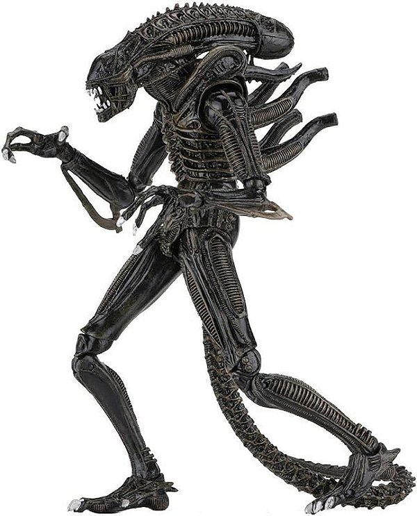Action Figure Warrior Alien Neca - Alien Vs Predator