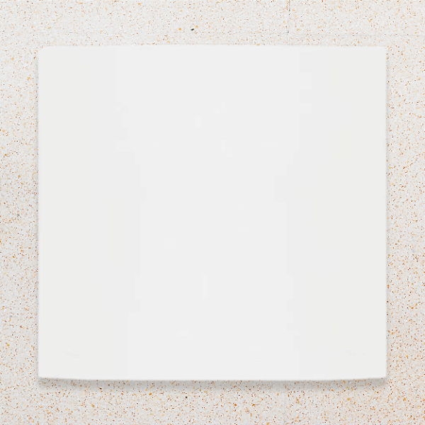 PLACA 4X4 - CEGA - BRANCO FOSCO - SLEEK CLEAN