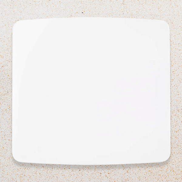 PLACA 4X4 - CEGA - BRANCO - B3