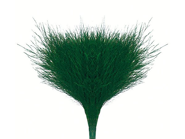FOLHAGEM ASPARGO VASSOURINHA 080 CM