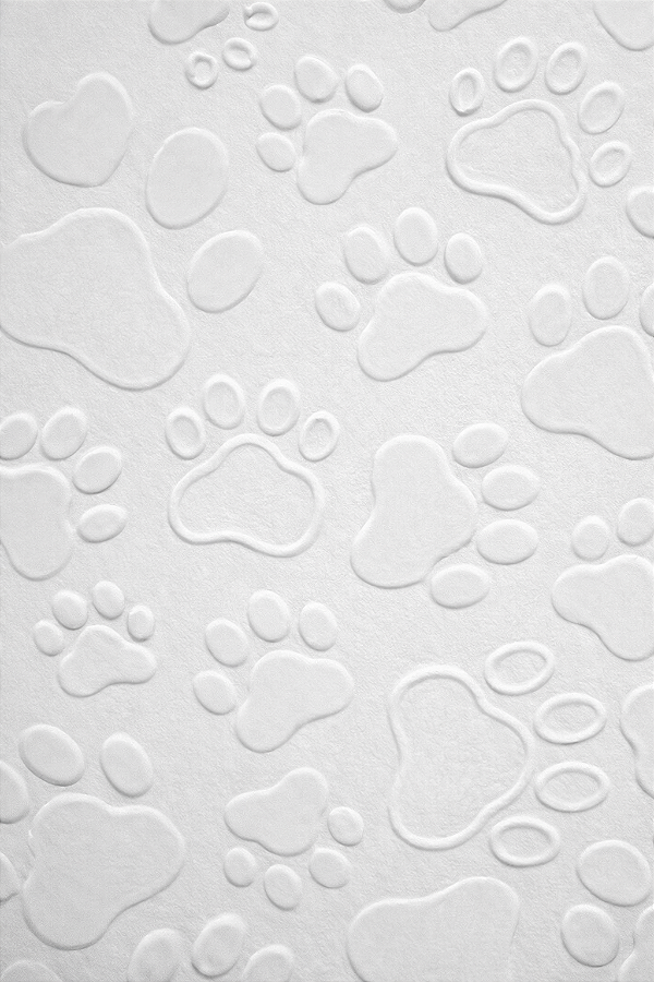 Modelo Textura Pet em Alto Relevo