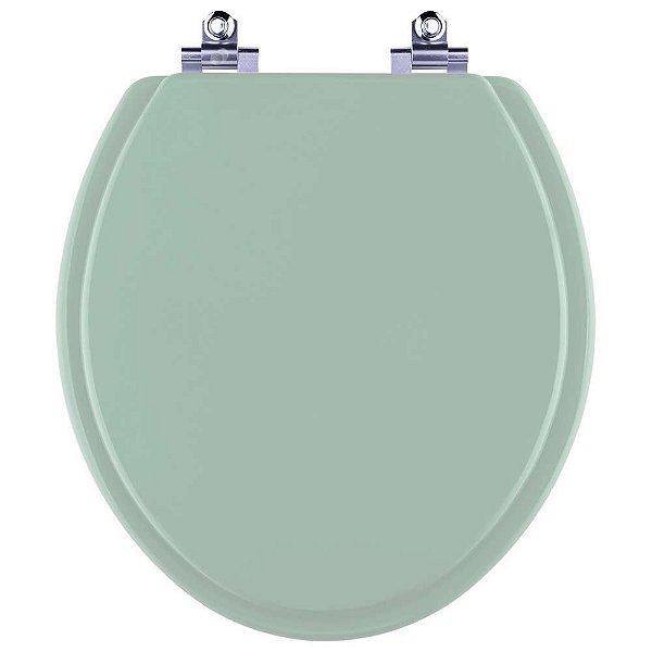 Tampa de Vaso Sanitário Laqueado Soft Close Araxa Verde para vaso Santa Clara