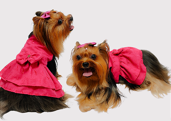 Vestido Pet Laise Pink Gaby Moda Pet - Venda Atacado