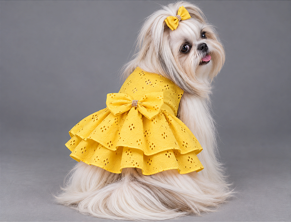 Vestido Pet Laise Amarelo Gaby Moda Pet - Venda Atacado