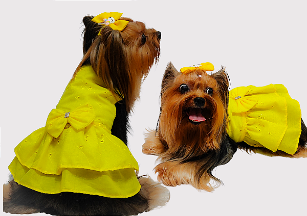 Vestido Pet Laise Amarelo  Gaby Moda Pet - Venda Atacado