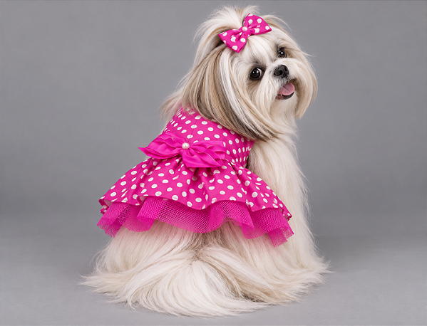 Vestido Pet Pink Poazinho Gaby Moda Pet - Venda Atacado