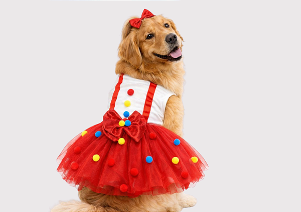 Fantasia Vestido para Cachorro Palhacinha Gaby Moda Pet Venda Atacado