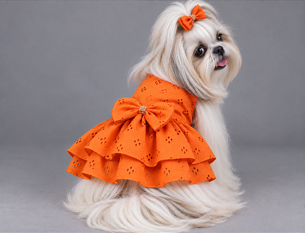 Vestido Pet Atacado Laise Laranja Gaby Moda Pet - Venda Atacado