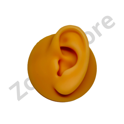 Expositor Orelha esquerda silicone