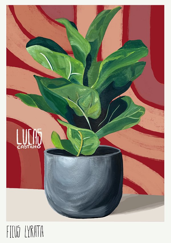 FICUS LYRATA (coleção pequenos murais)
