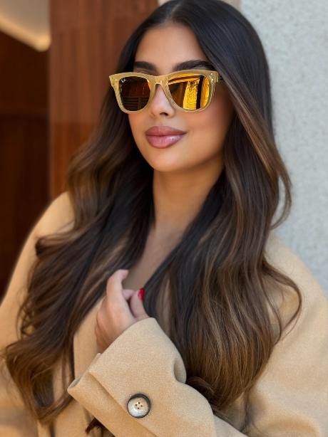 Óculos de Sol Ray Ban Wayfarer Reverse