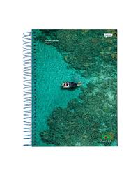 CADERNO 1X1 96FLS BRASILIDADE