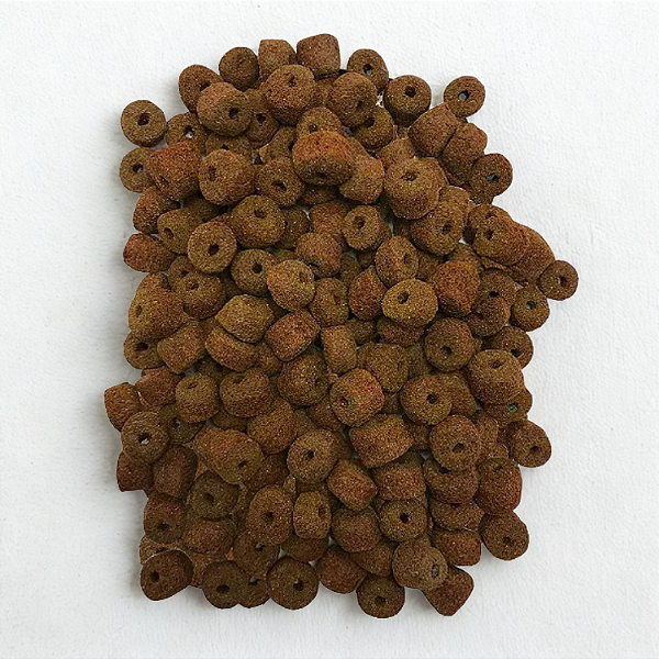 Isca Natural Pronta Furada Essência de Laranja Cartela 100g