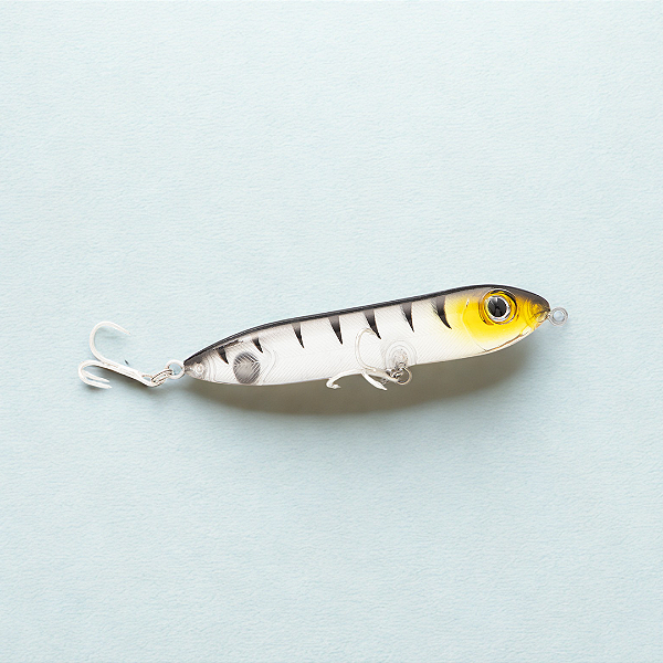 Isca Fractal 102 - Superfície - 05