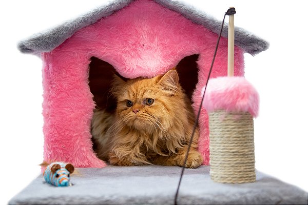 Casinha de Gato com Arranhador Sustentável Luppet Rosa e Cinza