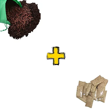 100 Minhocas Californianas Vermelha + Pacote Serragem 500 G