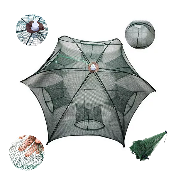 Armadilha De Peixes Pequenos Lambari Isca Viva Tilápia Covo