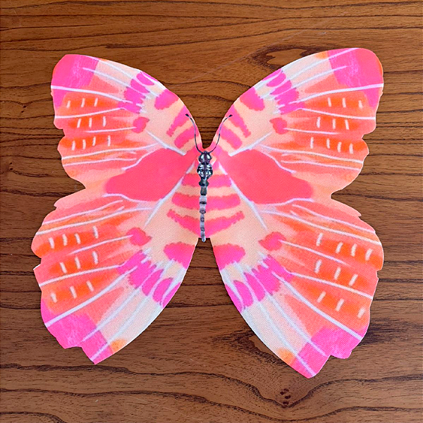 Jogo Americano Borboleta Colors