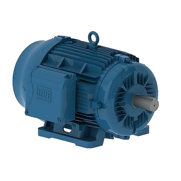 Motor 0,5 CV 4 Polos com Flange C 105 / C DIN