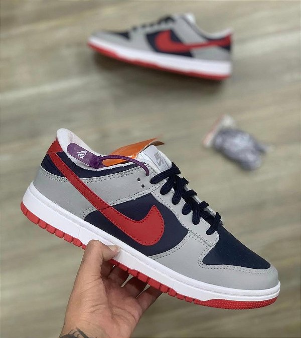 Tênis Nike Dunk Pro Série Premium Cinza Vermelho