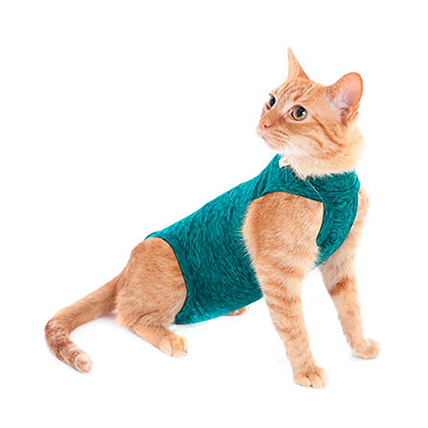 Roupa Pós Cirúrgica Castração Arte Animal Cores Lady (Fêmea) para Cães e Gatos