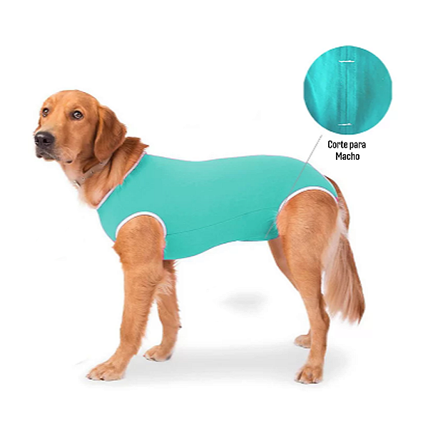 Roupa Pós Cirúrgica Castração Arte Animal Cores Lord (Macho) para Cães e Gatos