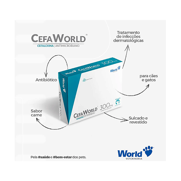 Antibiótico CefaWorld Cefalexina 300mg para Cães e Gatos - 1 Blister com 12 Comprimidos