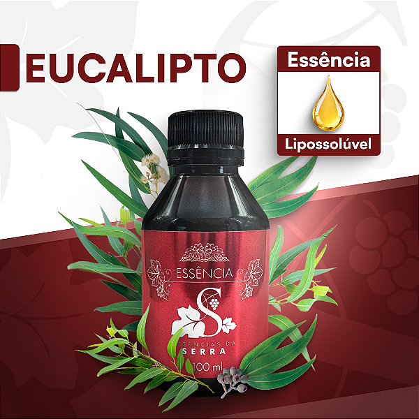 EUCALIPTO - ESSÊNCIA LIPOSOLÚVEL - PREMIUM E CONCENTRADA PARA VELAS, SABONETES E COSMÉTICOS ARTESANAIS