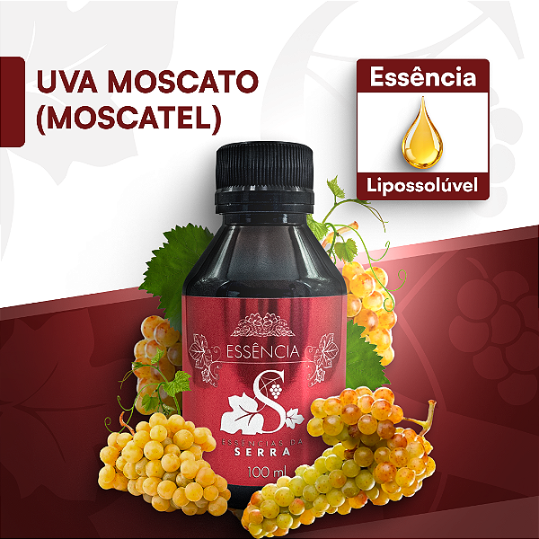 UVA MOSCATEL / MOSCATO - ESSÊNCIA LIPOSOLÚVEL - PREMIUM E CONCENTRADA PARA VELAS, SABONETES E COSMÉTICOS ARTESANAIS