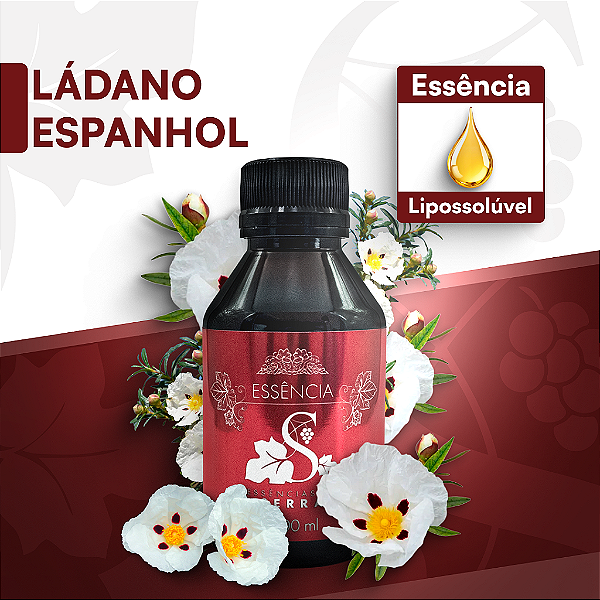LÁDANO 100ML ESSÊNCIA LIPOSOLÚVEL - PREMIUM E CONCENTRADA PARA VELAS, SABONETES E COSMÉTICOS ARTESANAIS