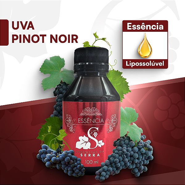 UVA PINOT NOIR 100ML ESSÊNCIA LIPOSOLÚVEL - PREMIUM E CONCENTRADA PARA VELAS, SABONETES E COSMÉTICOS ARTESANAIS