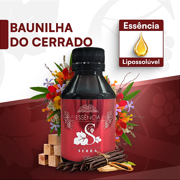 BAUNILHA DO CERRADO 100ML ESSÊNCIA LIPOSOLÚVEL - PREMIUM E CONCENTRADA PARA VELAS, SABONETES E COSMÉTICOS ARTESANAIS