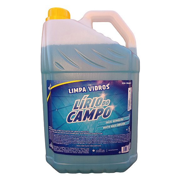 LIMPA VIDROS 5L