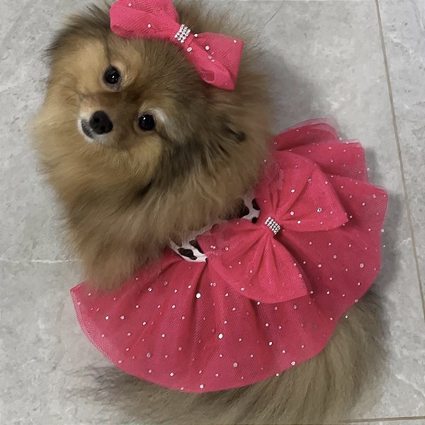 Vestido Country Style para Pets com Laço