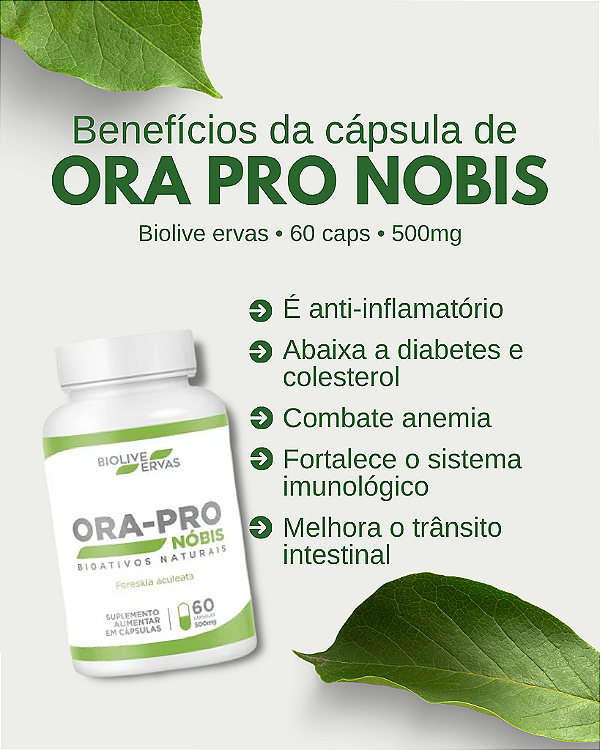 Ora Pro Nobis | 60 Capsulas - 500mg