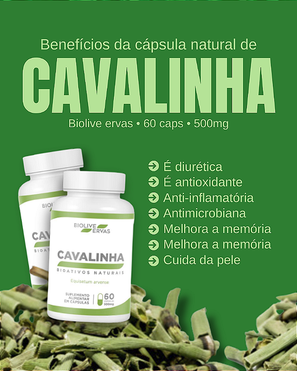 Cavalinha Biolive Ervas | 60 Capsulas - 500mg