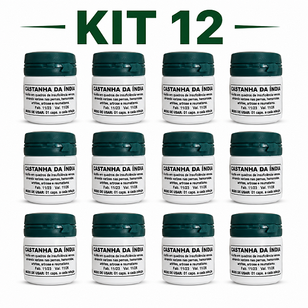 Kit 12 Castanha Caseira da Índia Original | Frete Grátis