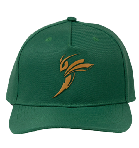 BONÉ AMA SPORT BEE TRUE - VERDE