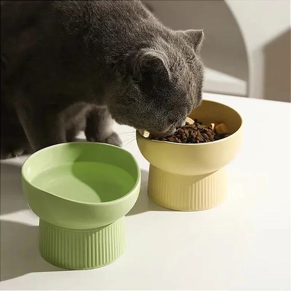 Tigela Elevada de Cerâmica para Gatos