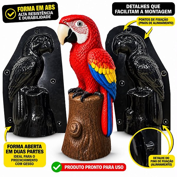 FORMA ARARA NO TRONCO NOVA