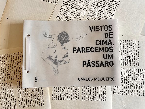 Vistos de cima, parecemos um pássaro - Carlos Meijueiro
