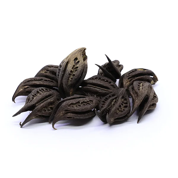 Fava Garra de Pombagira